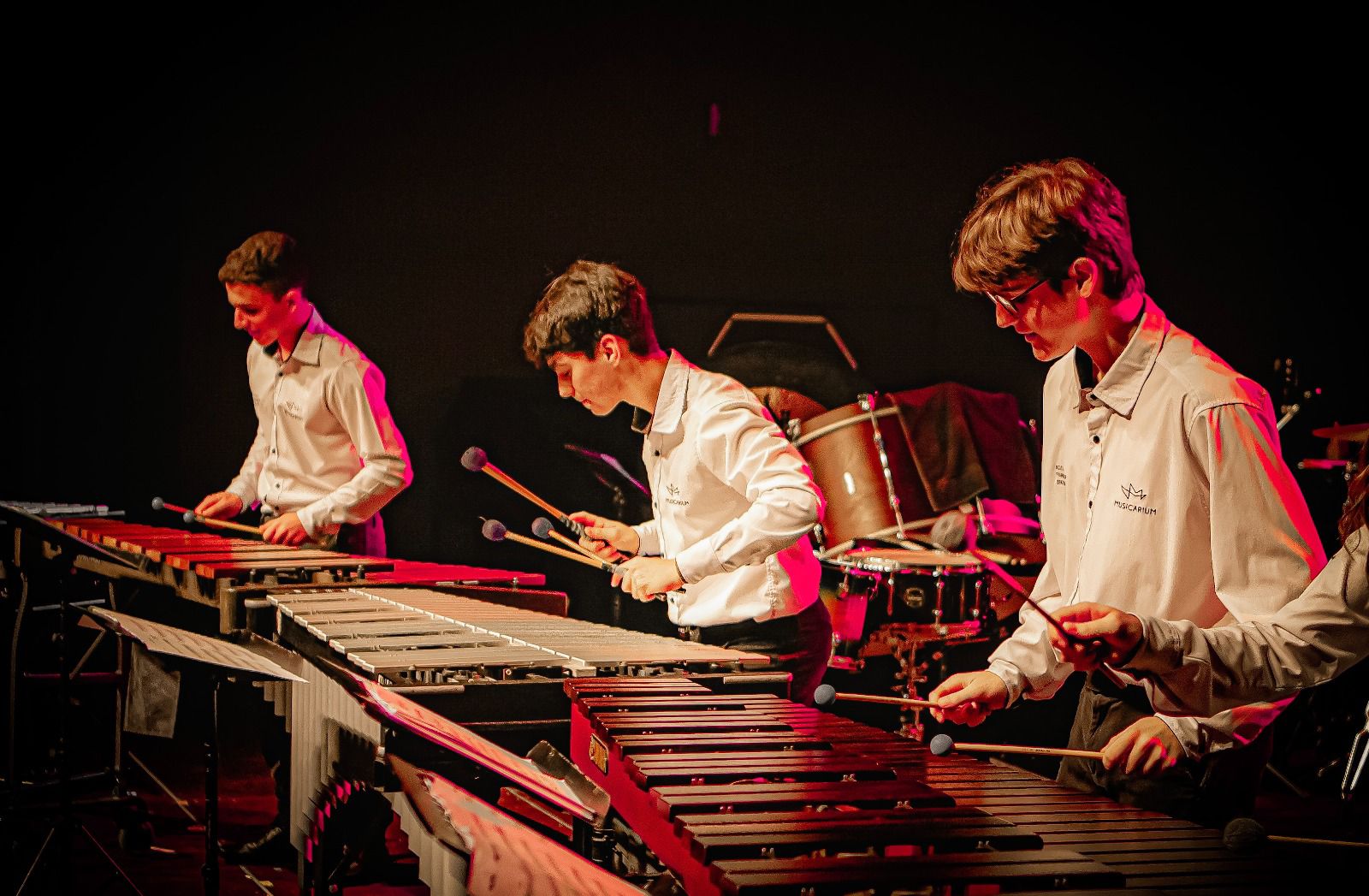 concerto solidário musicarium